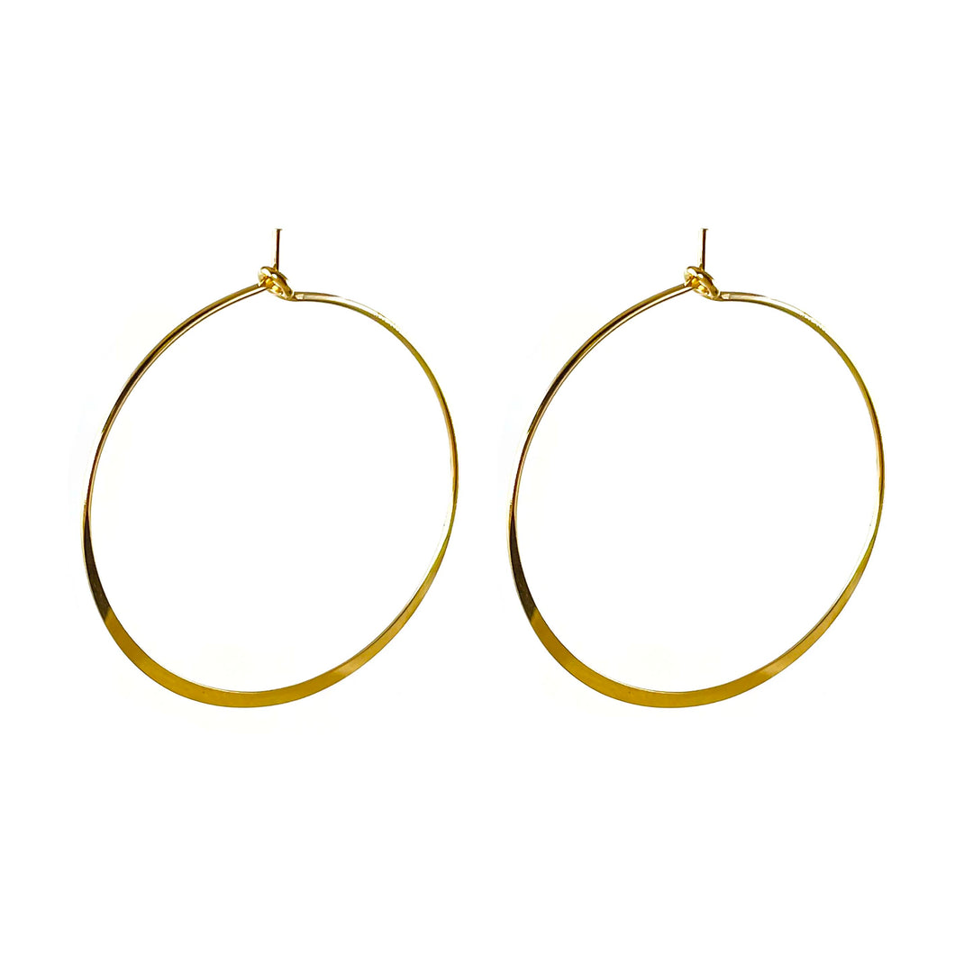 Earrings 2102B37