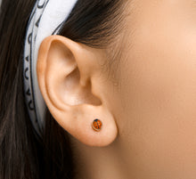Load image into Gallery viewer, Earrings 4007515 Ladybug Studs
